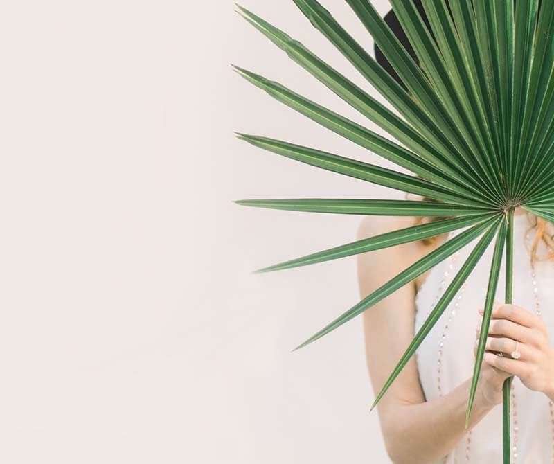 divorcio 360 background